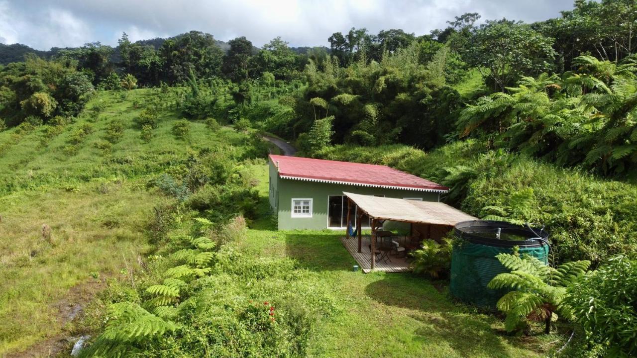 Chambre Et Sdb Privative Ylang Ylang Vue Mont Pelee Dans Maison Partagee Le Morne-Rouge Eksteriør billede